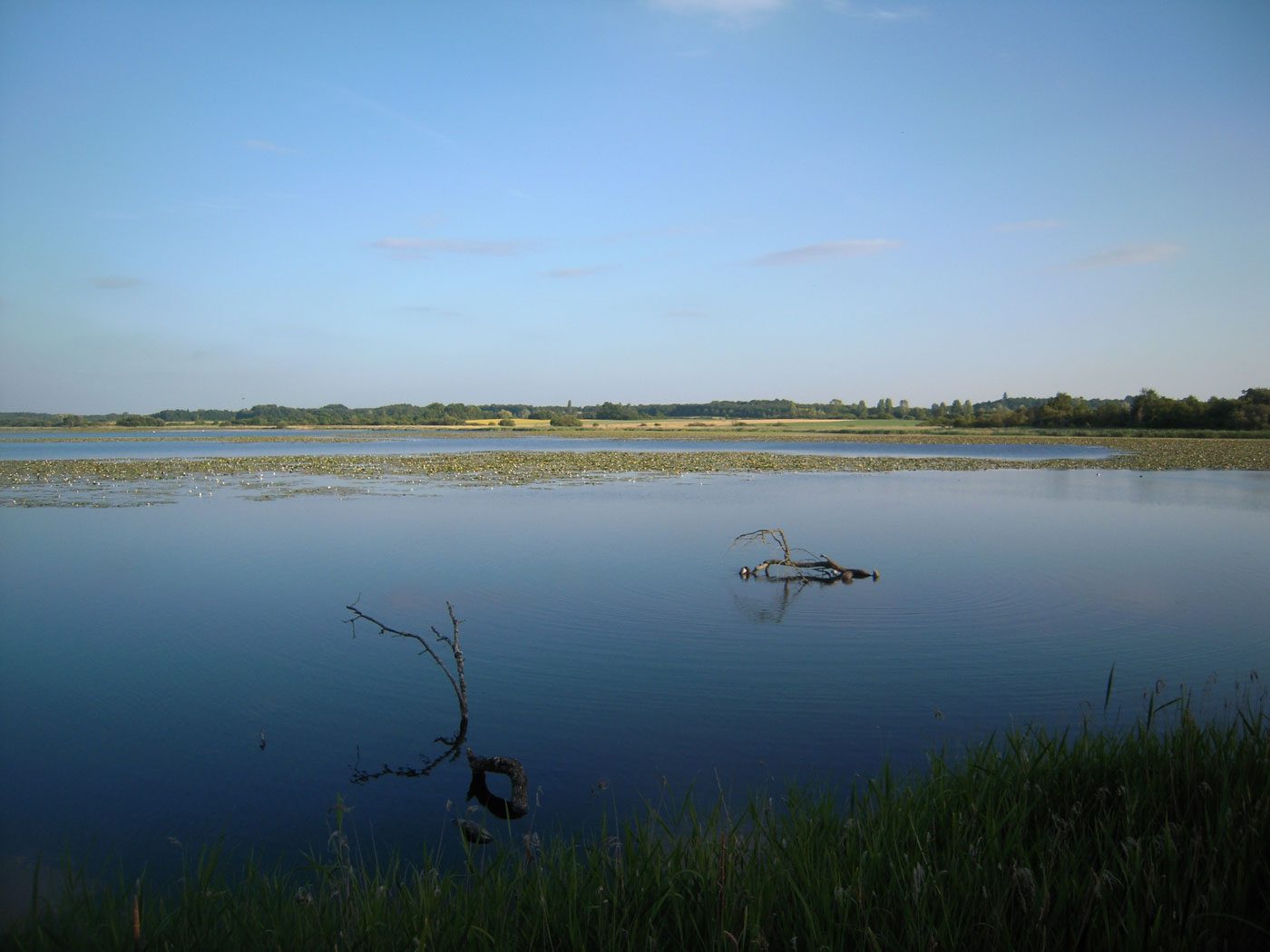 Parc naturel de la Brenne